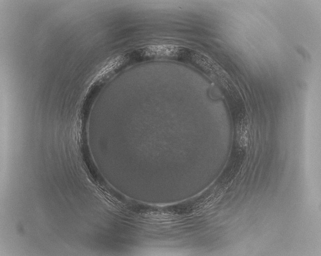 X0000116420735200912221445