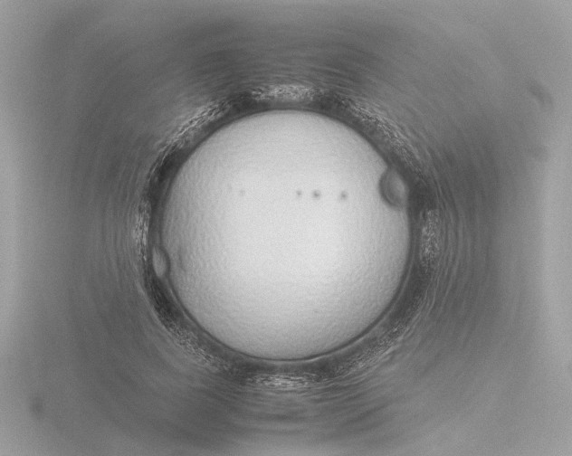 X0000116420739200912221445