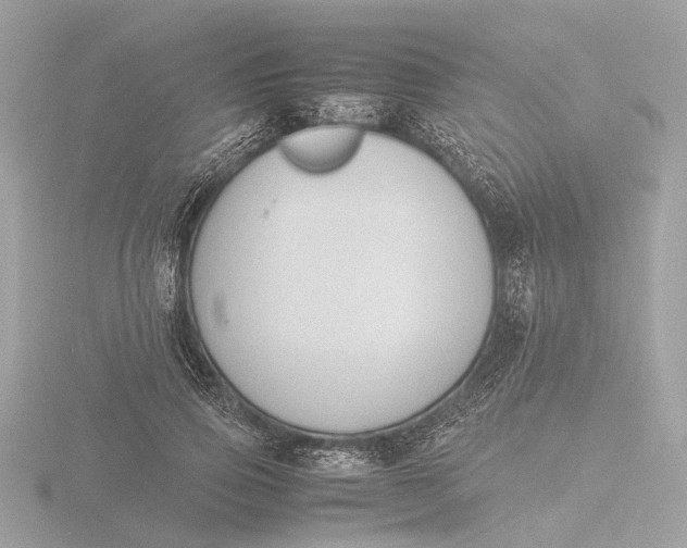 X0000116420741200912221445
