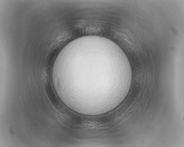 X0000116420743200912221445