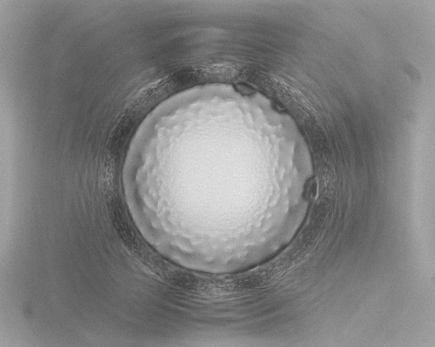 X0000116420745200912221445
