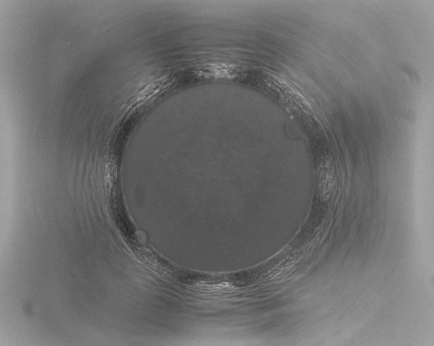 X0000116420747200912221445