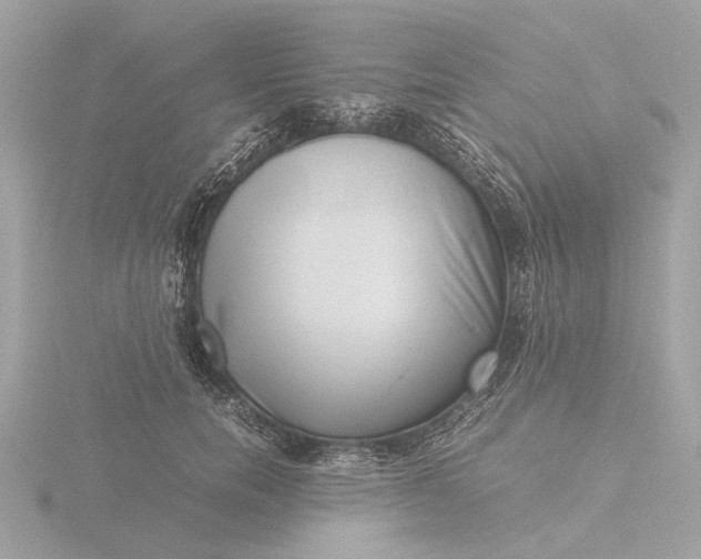 X0000116420750200912221445