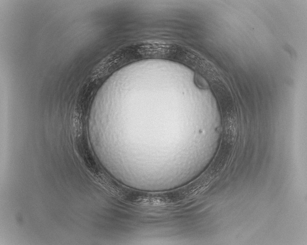 X0000116420751200912221445