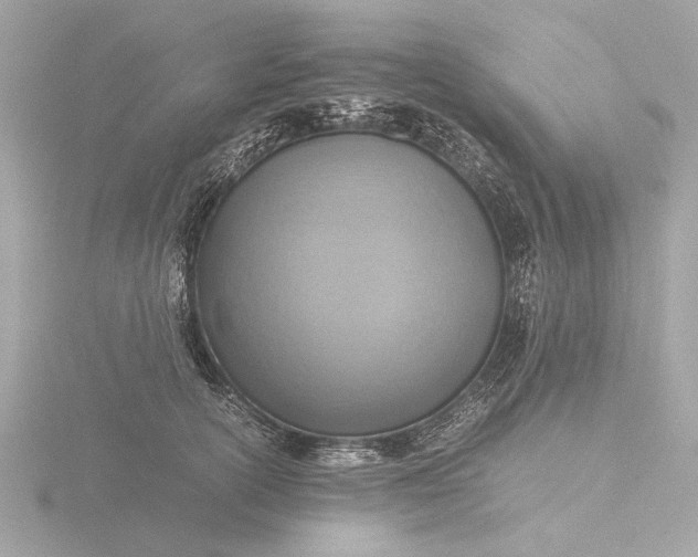 X0000116420754200912221445