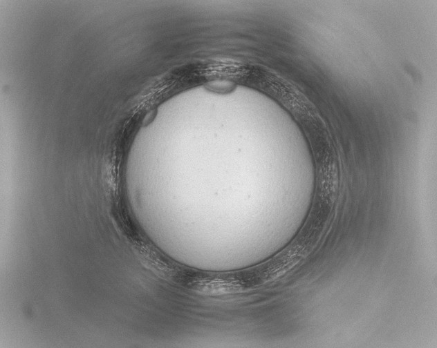 X0000116420755200912221445