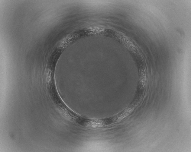 X0000116420758200912221445