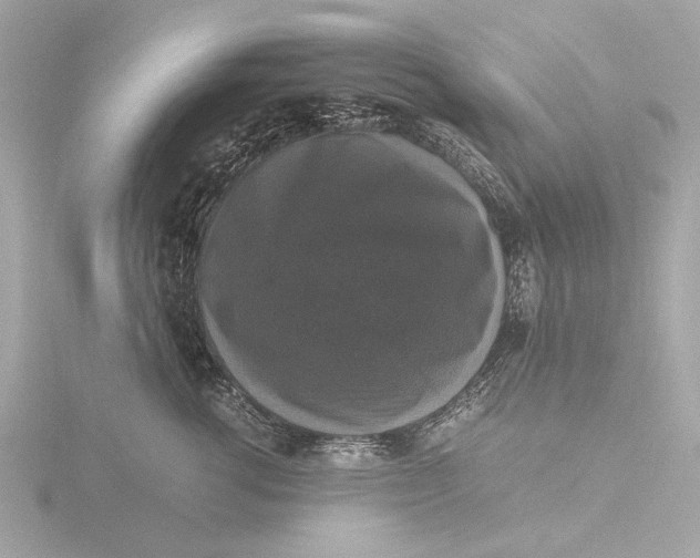X0000116420762200912221445
