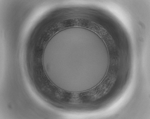 X0000116420766200912221445