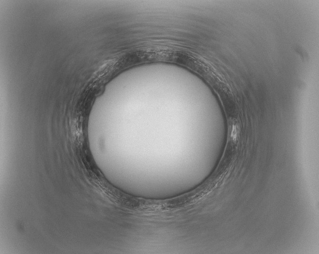 X0000116420771200912221445