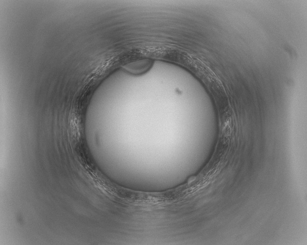 X0000116420772200912221445