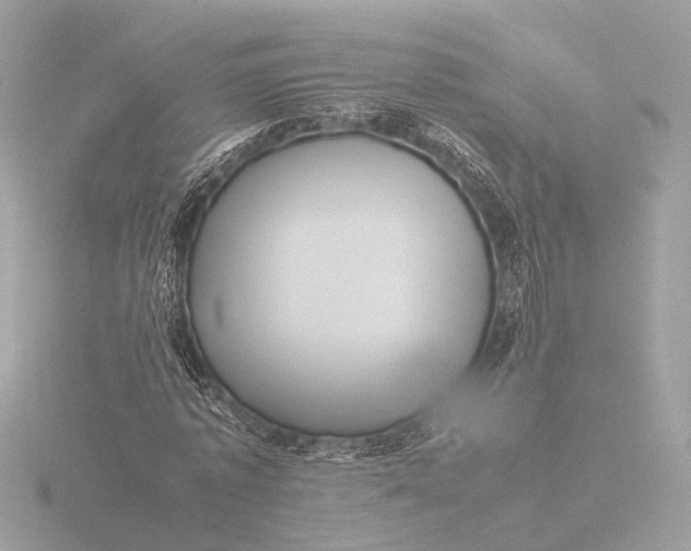 X0000116420773200912221445