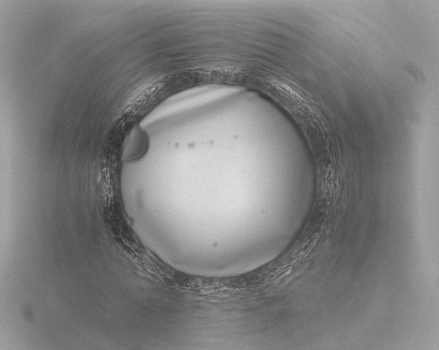 X0000116420774200912221445