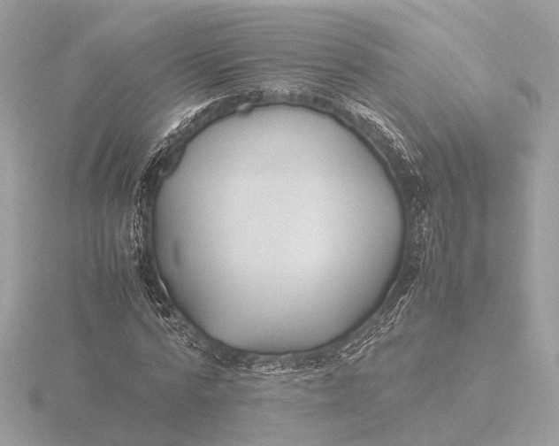 X0000116420776200912221445