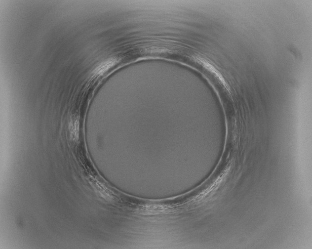 X0000116420777200912221445
