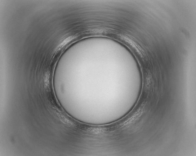 X0000116420778200912221445