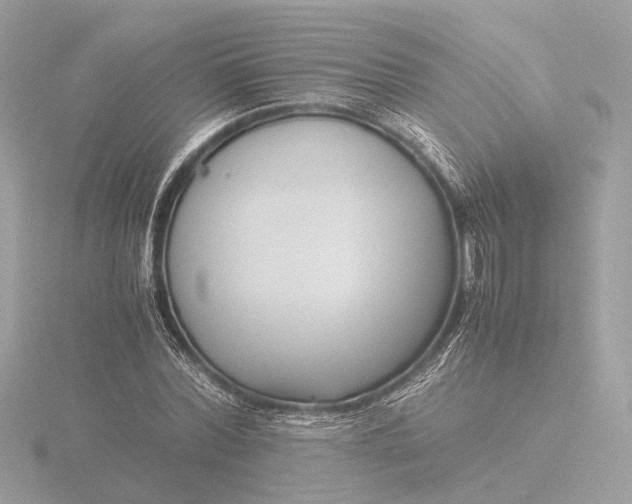 X0000116420780200912221445