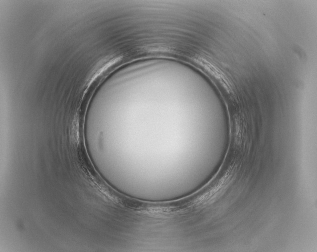 X0000116420782200912221444