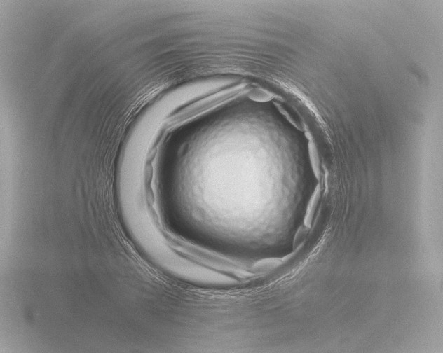 X0000116420785200912221444