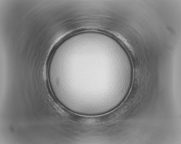 X0000116420791200912221444