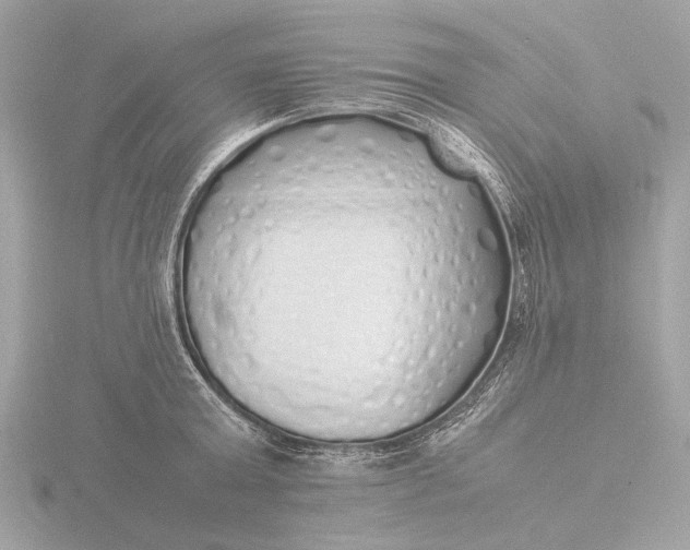 X0000116420803200912221444