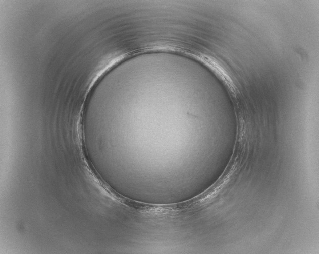 X0000116420806200912221444