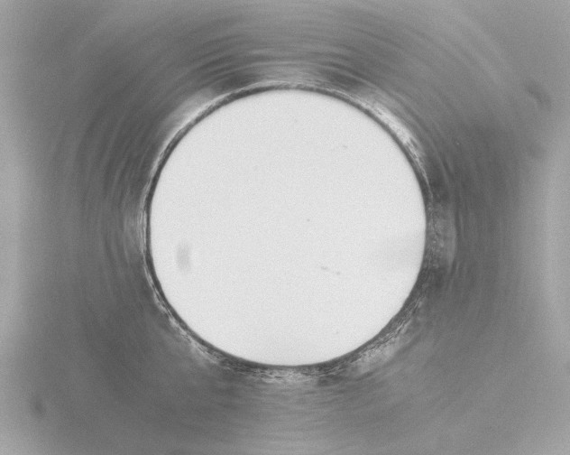 X0000116420807200912221444