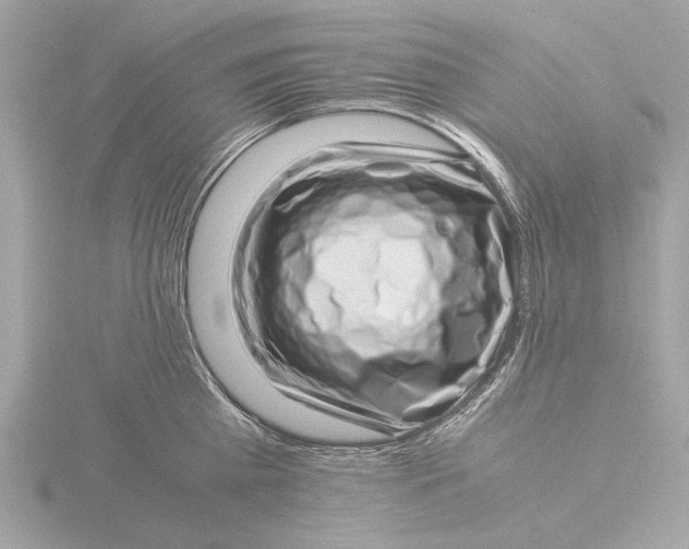 X0000116420809200912221444