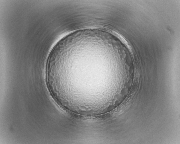 X0000116420811200912221444