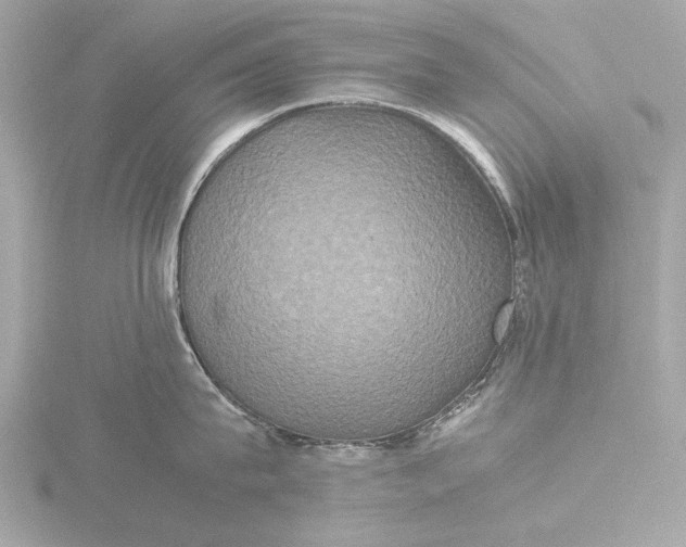 X0000116420815200912221444