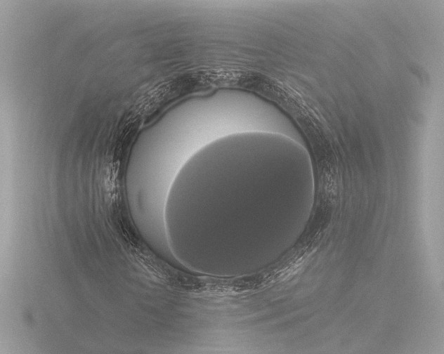 X0000116420818200912221443