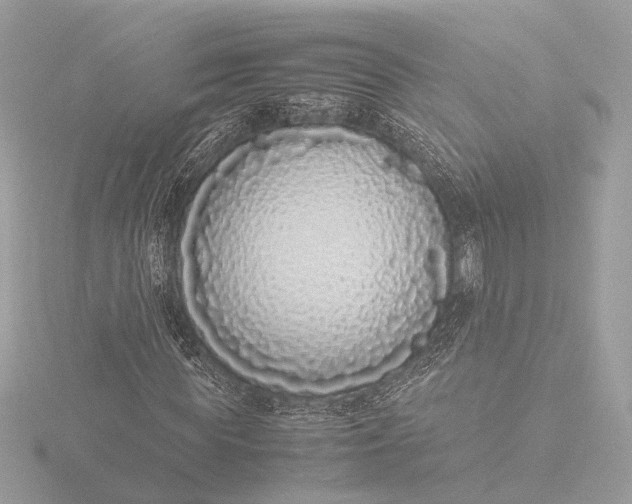 X0000116420819200912221443