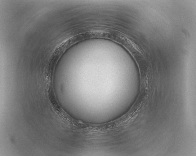 X0000116420821200912221444
