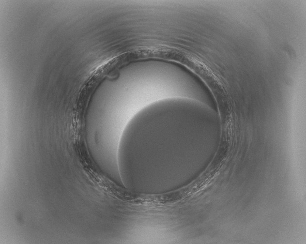 X0000116420822200912221444