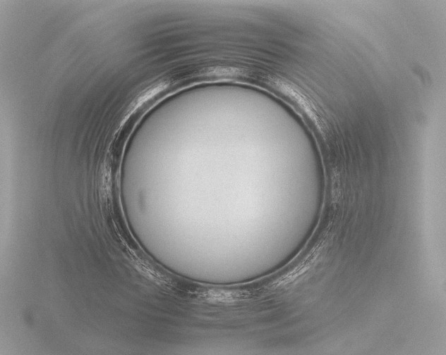 X0000116420827200912221444