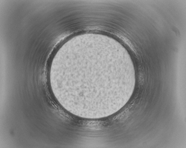 X0000116420832200912221444