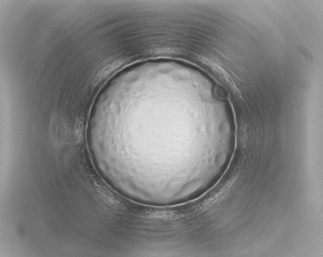 X0000116420833200912221444