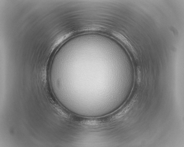 X0000116420834200912221444