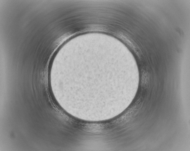 X0000116420836200912221444