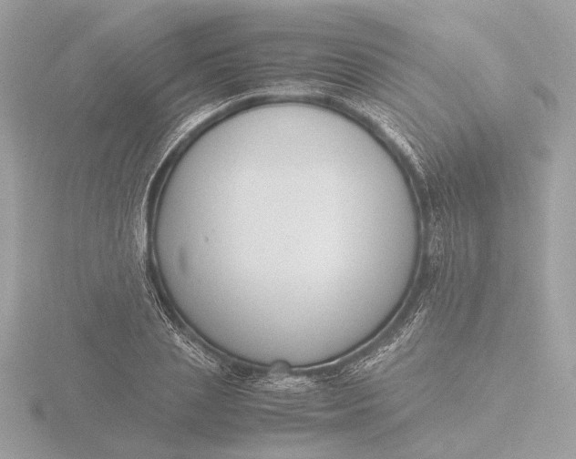 X0000116420837200912221444