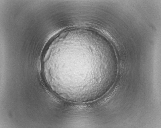 X0000116420838200912221444