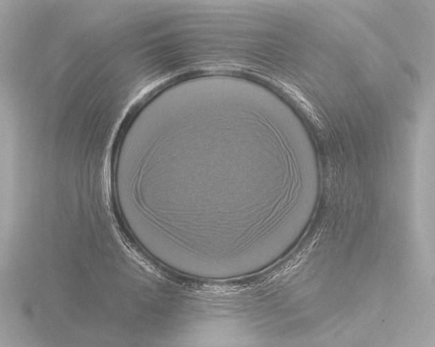 X0000116420840200912221444