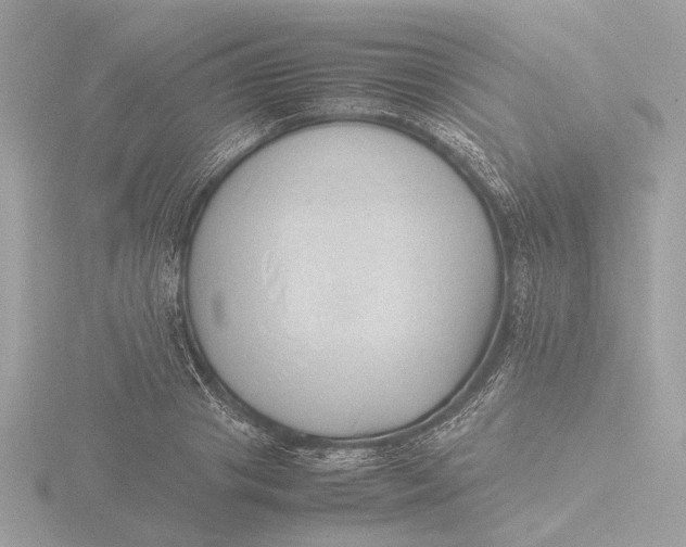 X0000116420841200912221444