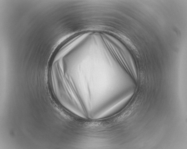 X0000116420846200912221444