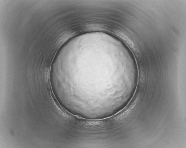 X0000116420849200912221444