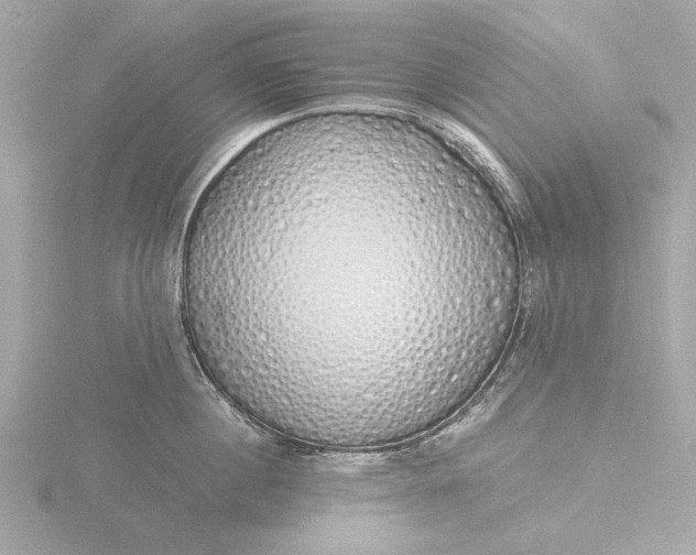 X0000116420860200912221444