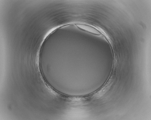 X0000116420862200912221444