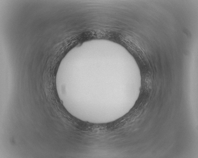 X0000116420865200912221443