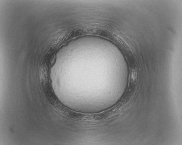 X0000116420867200912221443
