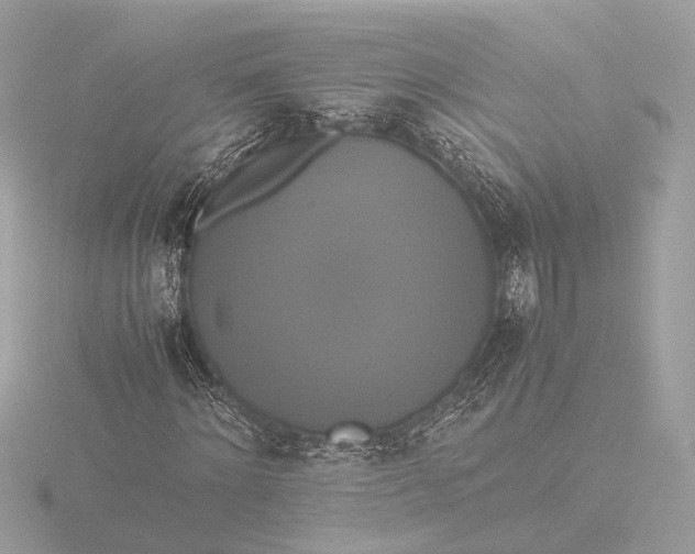 X0000116420868200912221443